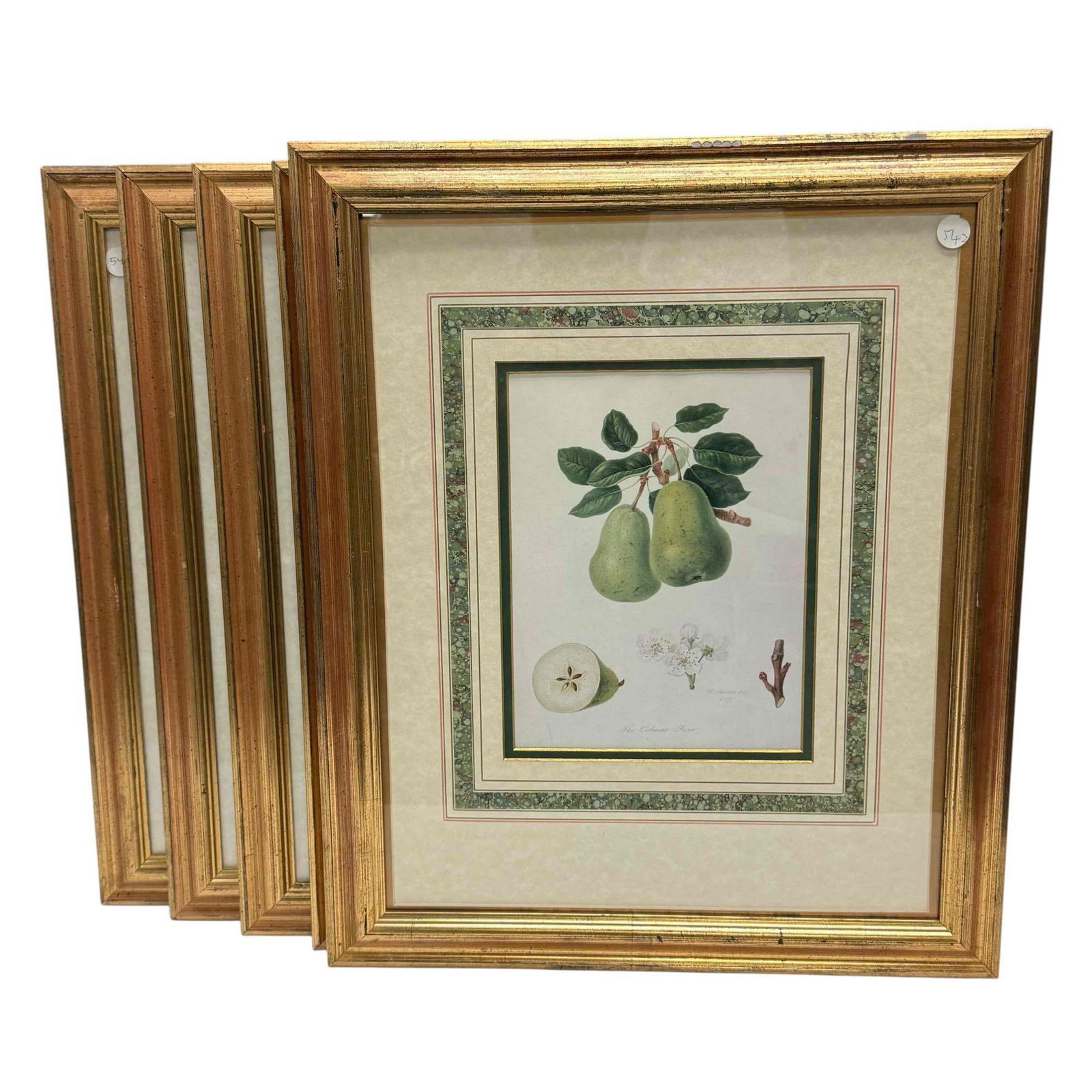 5 Framed 19th Century Colored Prints by William Hooker (1 of 20)