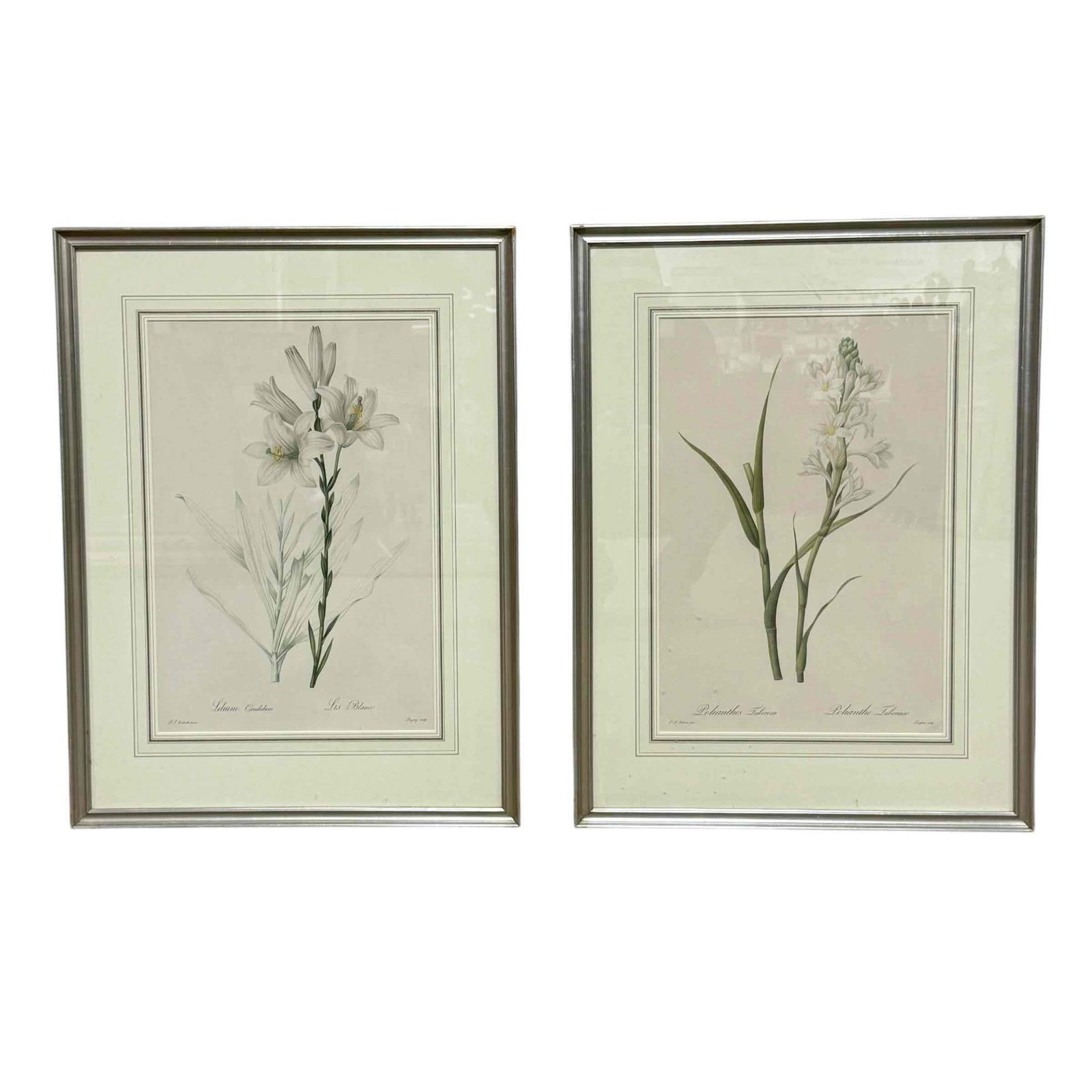 Pierre Joseph Redoute (1759-1840) Botanical Prints (2) (1 of 20)