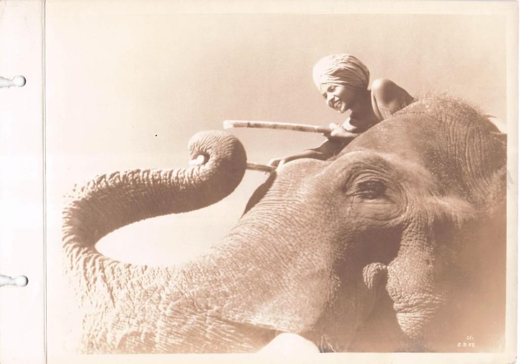 Elephant Boy - Stills - Keybook Stills (1 of 16)