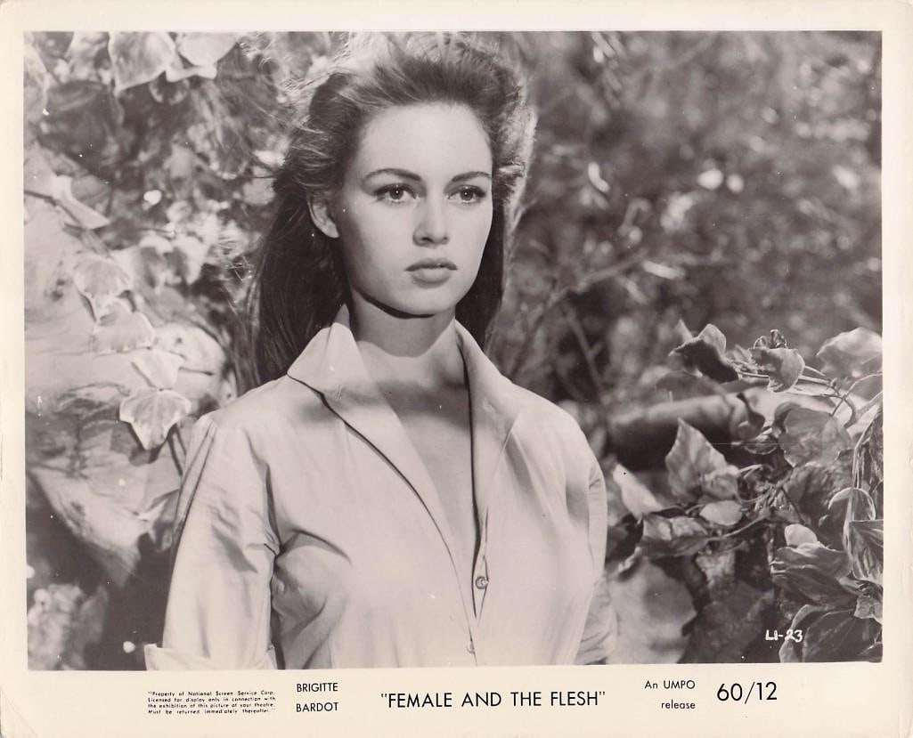 Female and the Flesh (AKA The Light Across the Street) - Stills: Quantity: 9 Year: 1960 Condition:B+ Country: U.S.A Studio: UMPO Size: 8x10 Genre: Sexploitation Stars: Brigitte Bardot, Raymond Pellegrin