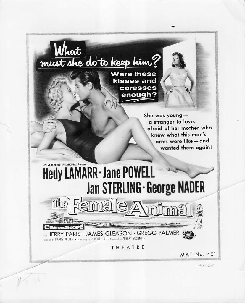 The Female Animal - Portrait Stills: Quantity: 15 Year: 1958 Condition:B+ Country: U.S.A Studio: Universal Size: 8x10 Genre: Romance Stars: Hedy Lamarr, Jan Sterling, Jane Powell, George Nader, Director - Harry Keller