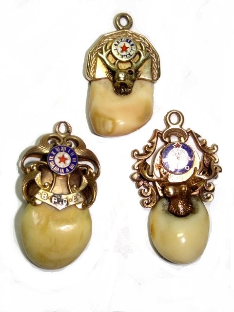 14kt. Gold & Enameled Elks Tooth Watch Fobs: 21. grams t.w. Three 14K. Gold Elks Tooth Watch Fobs, With Enameled Clocks & BPOE, One With Jeweled Eyes. Two 1 1/2'' x 5/8'' One 1 1/4'' x 5/8''. From Large Old Farm House Estate Erie Pa.