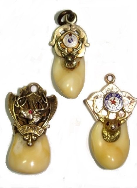 14kt. & 10k. Gold & Enameled Elks Watch Fobs: 11.1 grams t.w. Gold elks tooth watch fobs. Top & Right bottom one stamped 10k. with enameled clock, left unmarked with ruby eyes and fancy back. Two 1'' x 3/4''other 7/8th' x 1/2'' Condition good nor