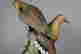 item-46290176=3