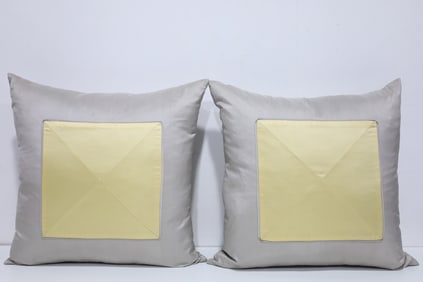 Pair of Yellow and Silver Silk Pillows