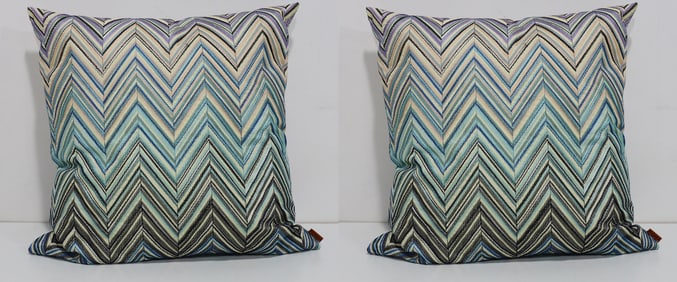 Pair of Missoni Pillows