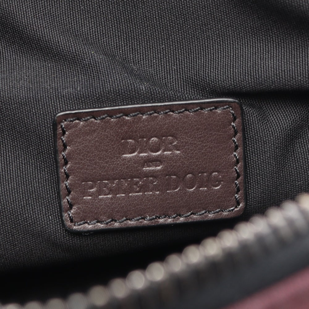 Dior Peter Doig Saddle Bag - 4