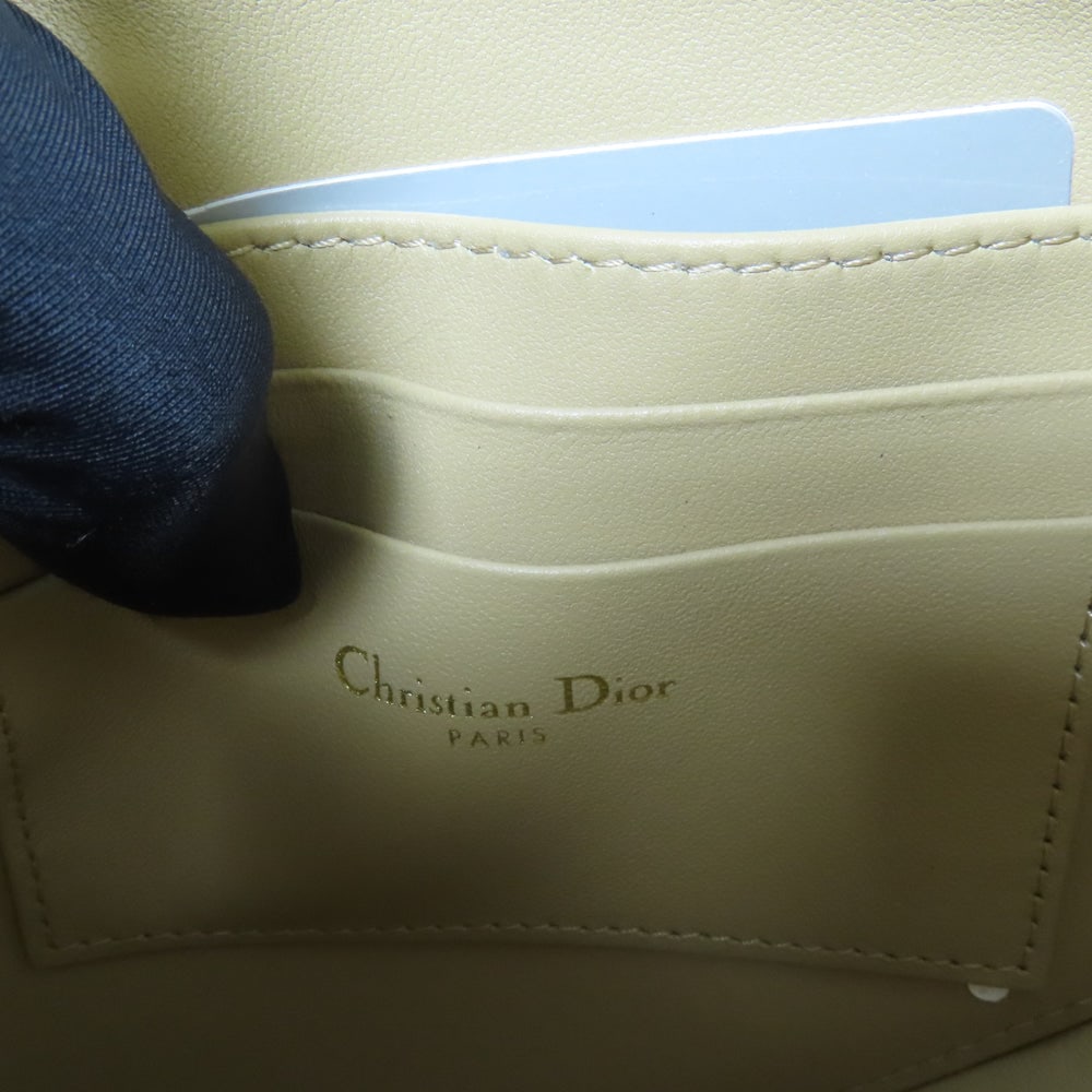 Dior Saddle Rodeo Bag - 13