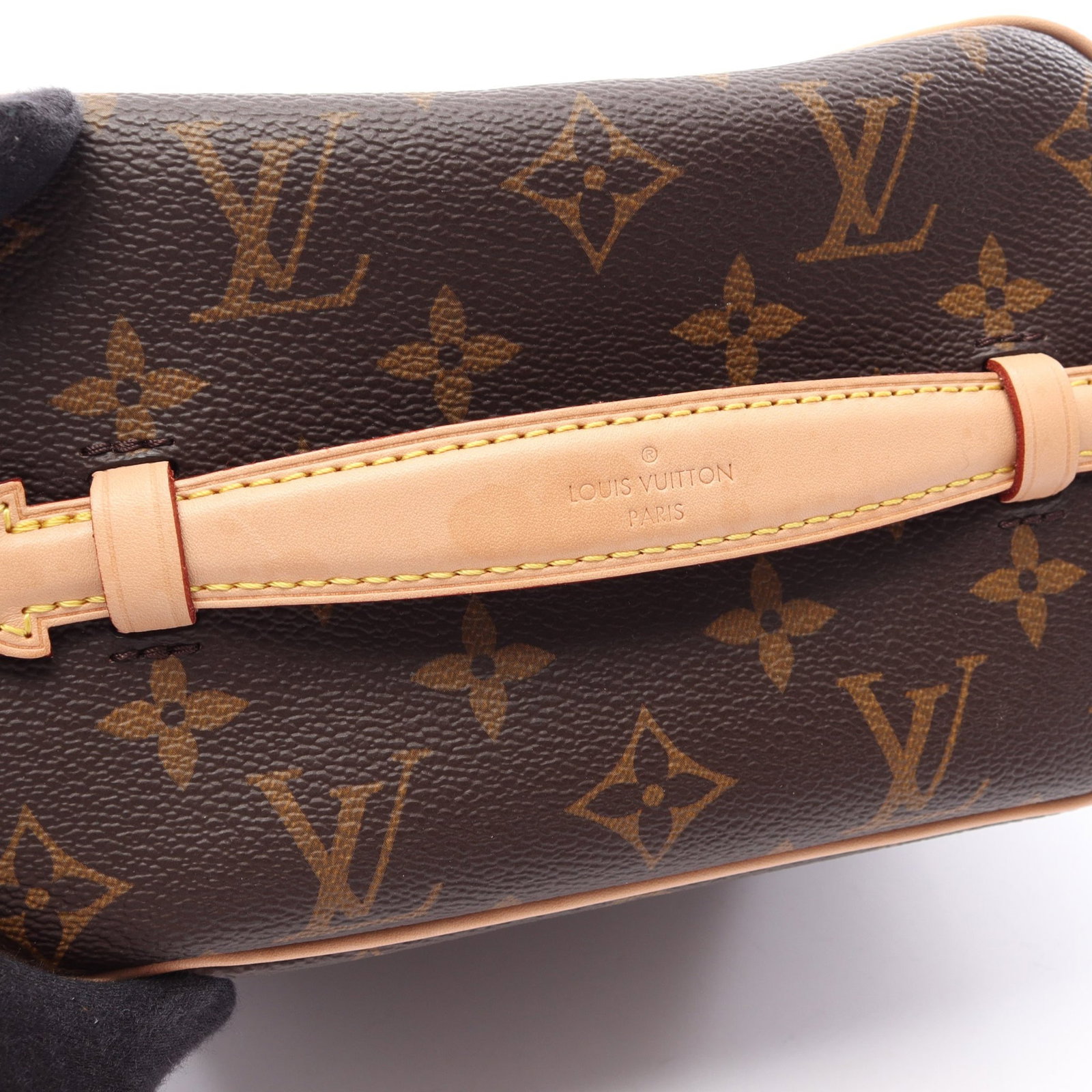 Louis Vuitton Nice Mini Monogram - 9