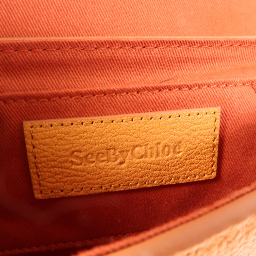 Chloe Hana Mini Shoulder Orange - 9