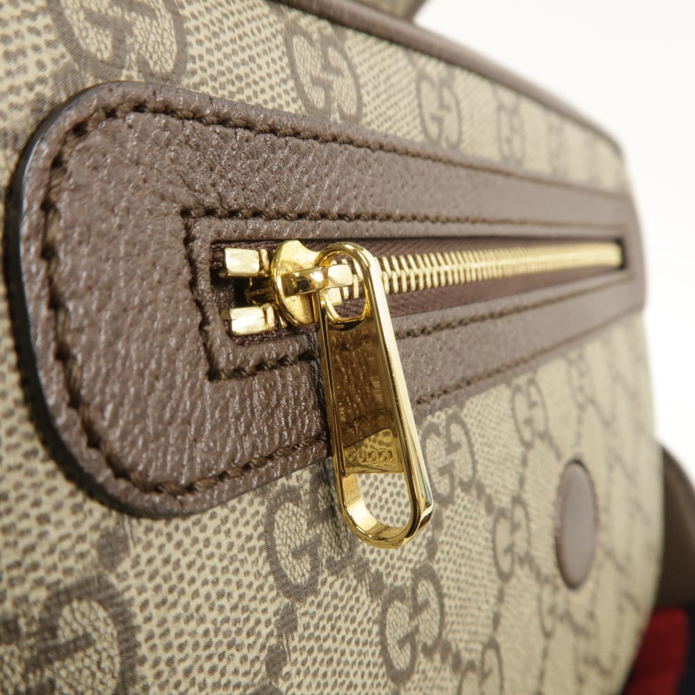 Gucci Ophidia Small 2 Way - 16