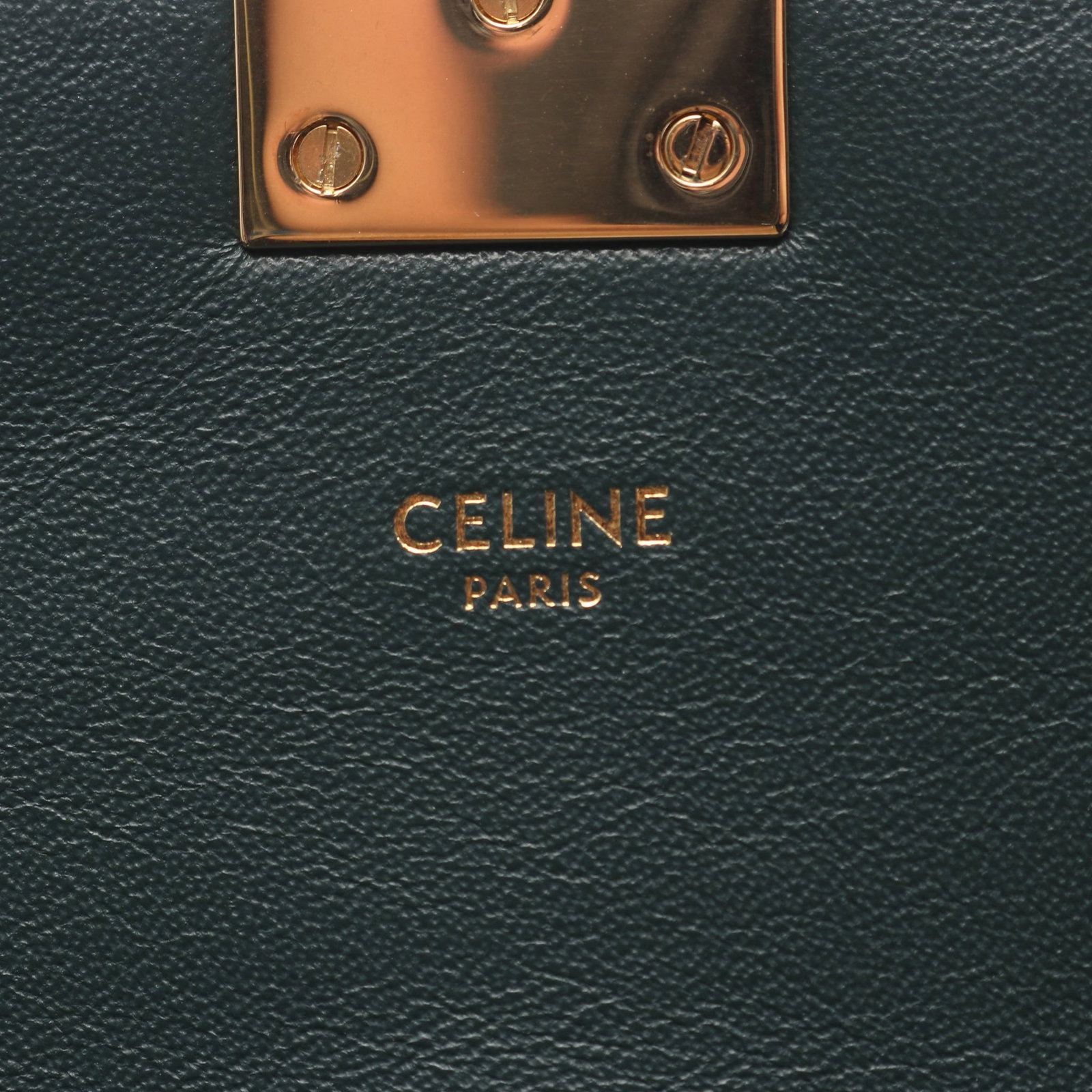 Celine C See Medium Dark Green - 4
