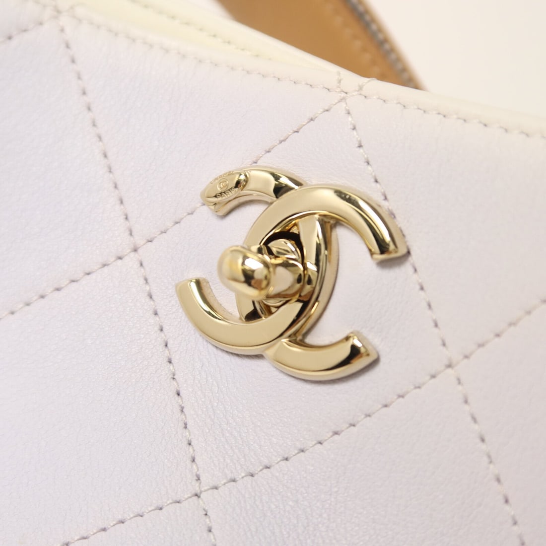 Chanel Button Up Hobo - 10