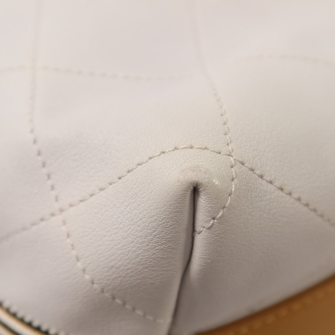 Chanel Button Up Hobo - 13