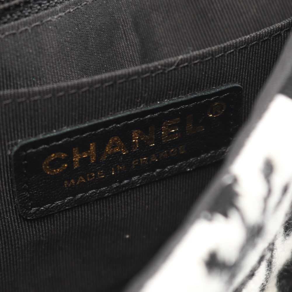 Chanel Coco Neige Chain Bag - 4