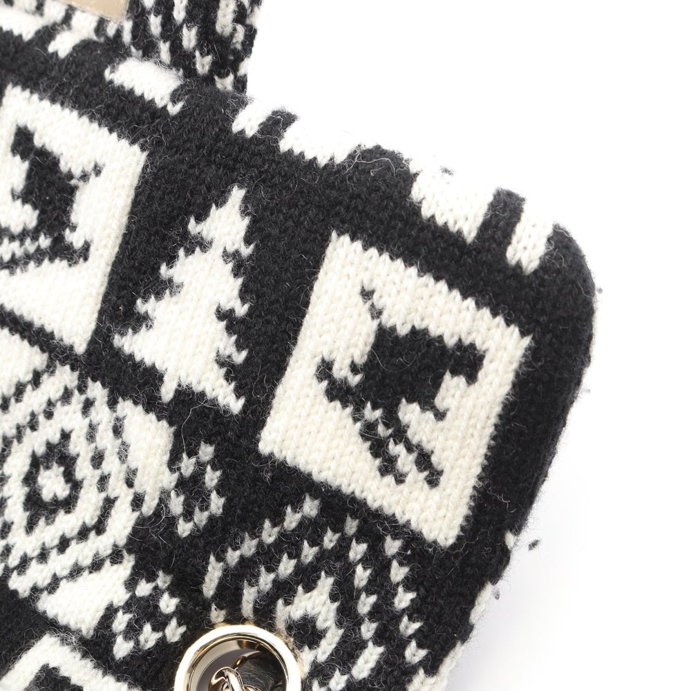 Chanel Coco Neige Chain Bag - 7