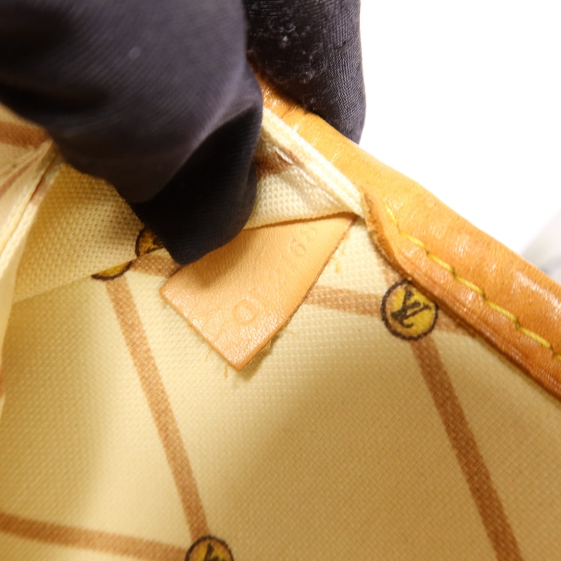 Louis Vuitton Summer Trunk Neverfull MM - 8