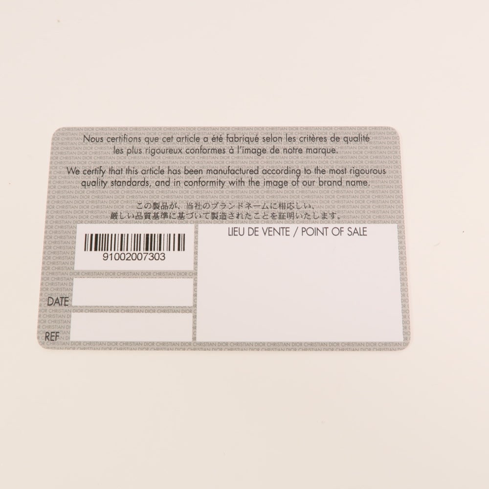 Dior Bobby Medium Gray - 10