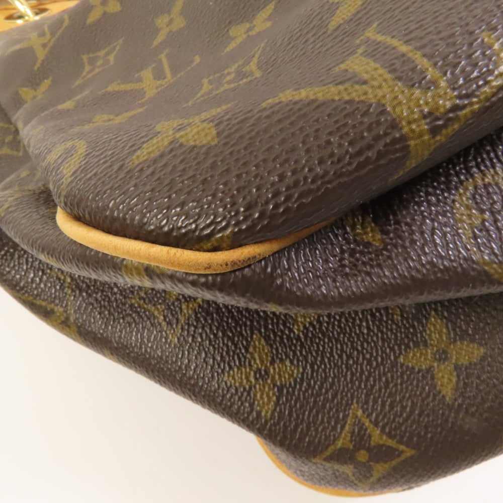 Louis Vuitton Galliera PM Monogram - 14