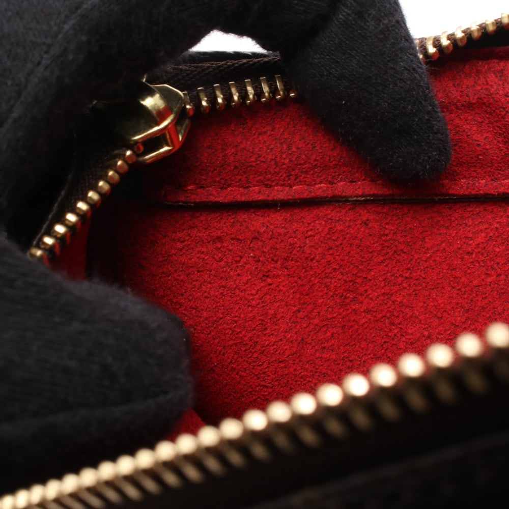 LV Viva Cite PM Monogram Bag - 5