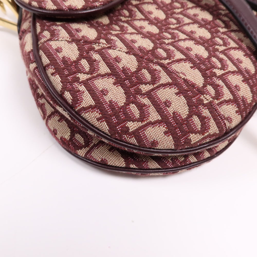 Dior Mini Saddle Hand Bag - 12