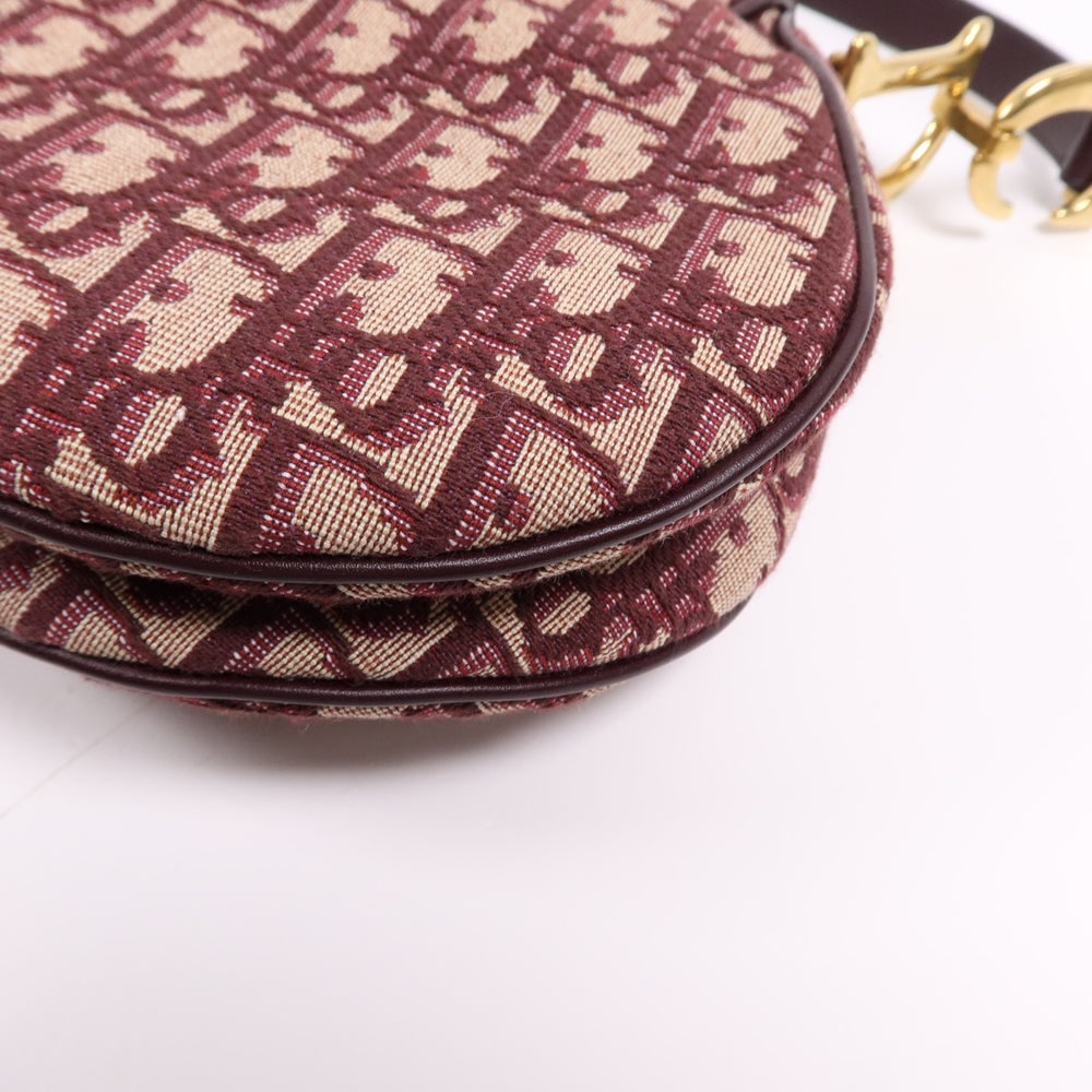 Dior Mini Saddle Hand Bag - 13