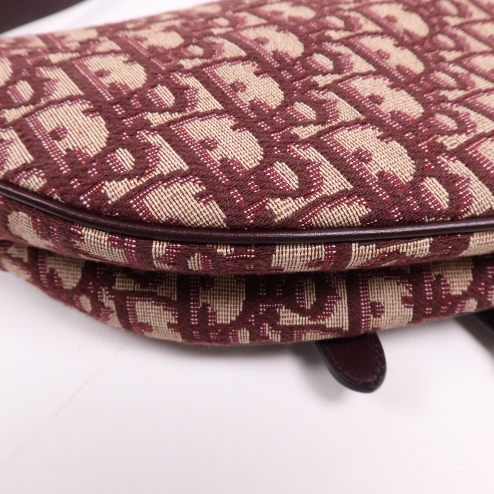 Dior Mini Saddle Hand Bag - 14