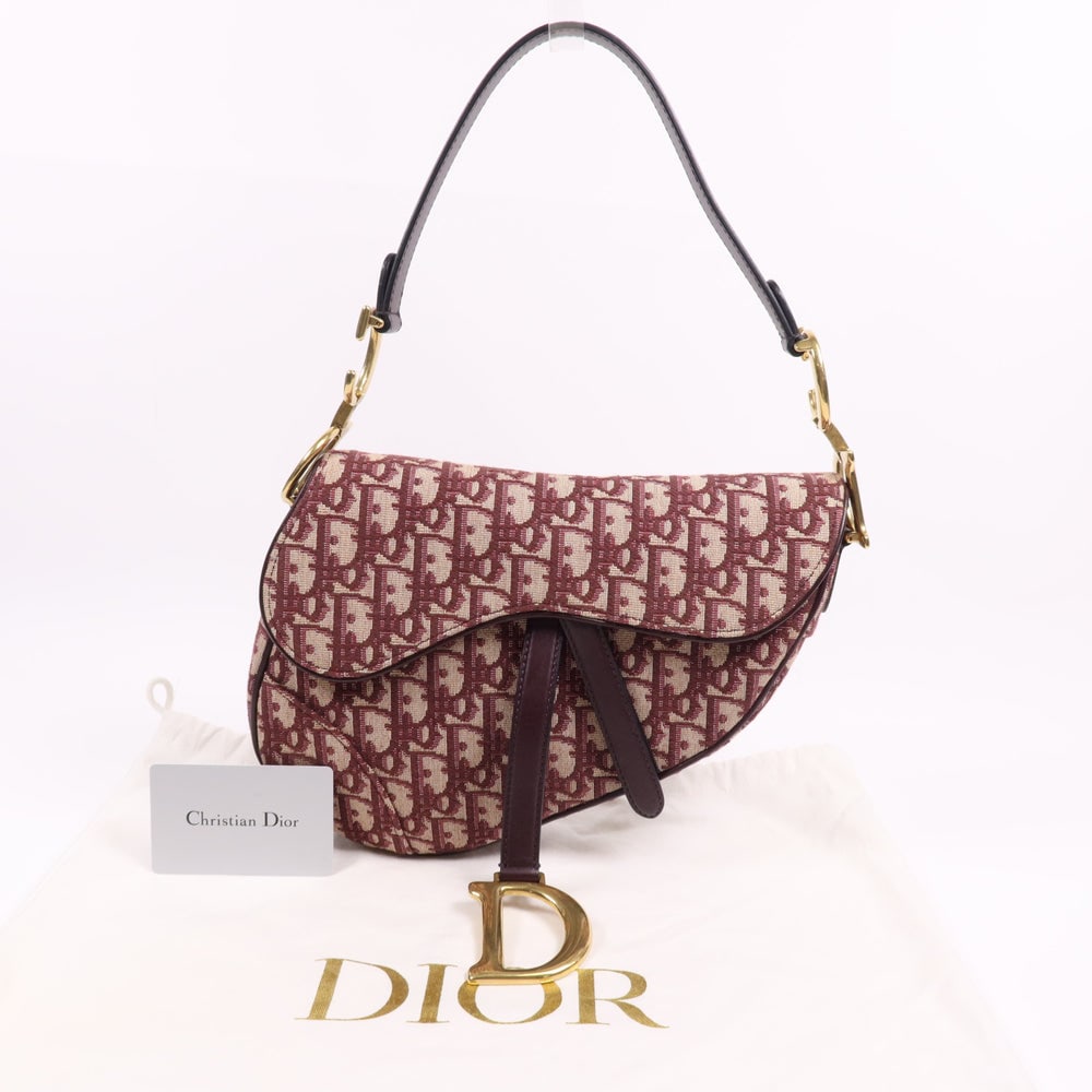 Dior Mini Saddle Hand Bag - 9