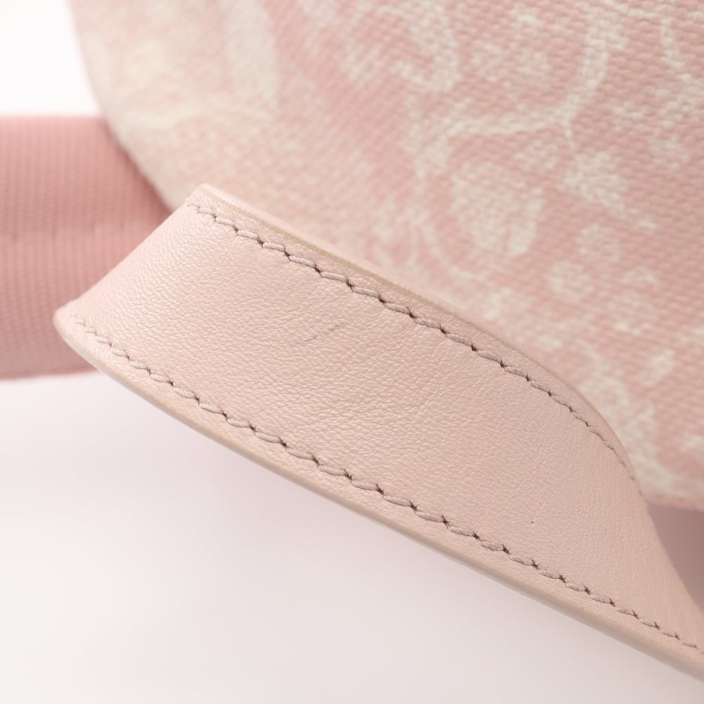 Dior Backpack Light Pink - 8