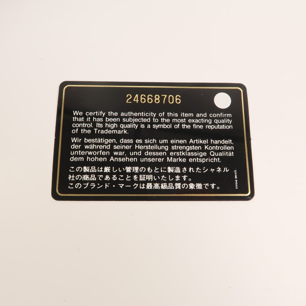 Chanel Wallet On Chain - 11