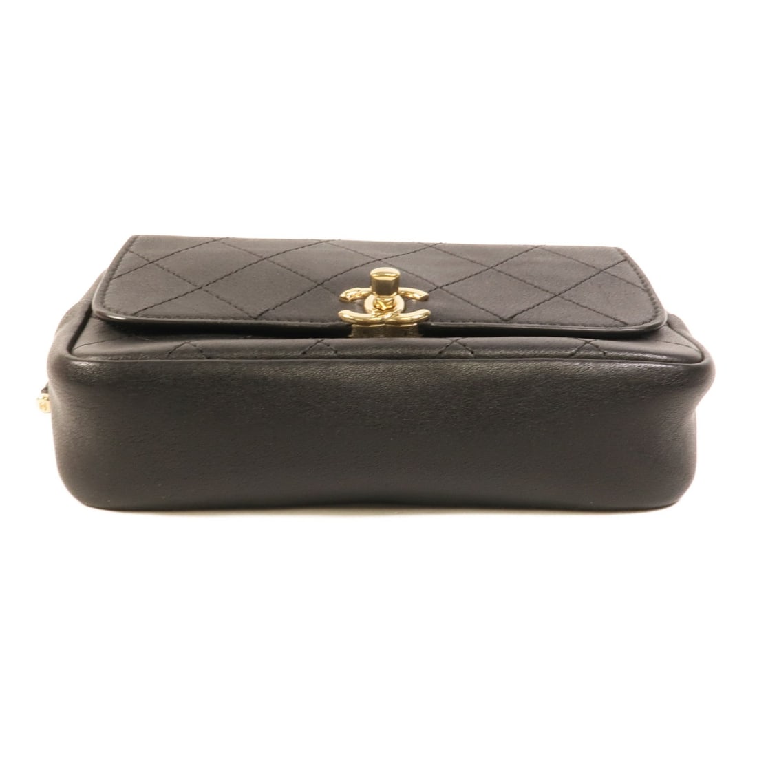 Chanel Waist Bag - 4