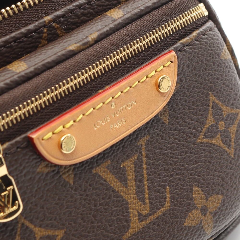 Louis Vuitton Mini Bum Bag - 6