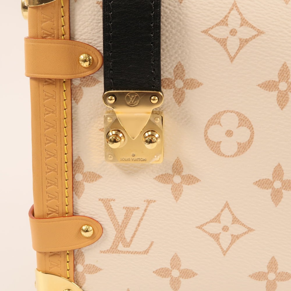 Louis Vuitton Side Trunk MM Beige - 12