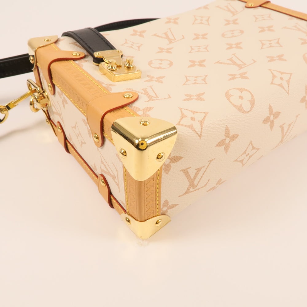 Louis Vuitton Side Trunk MM Beige - 8