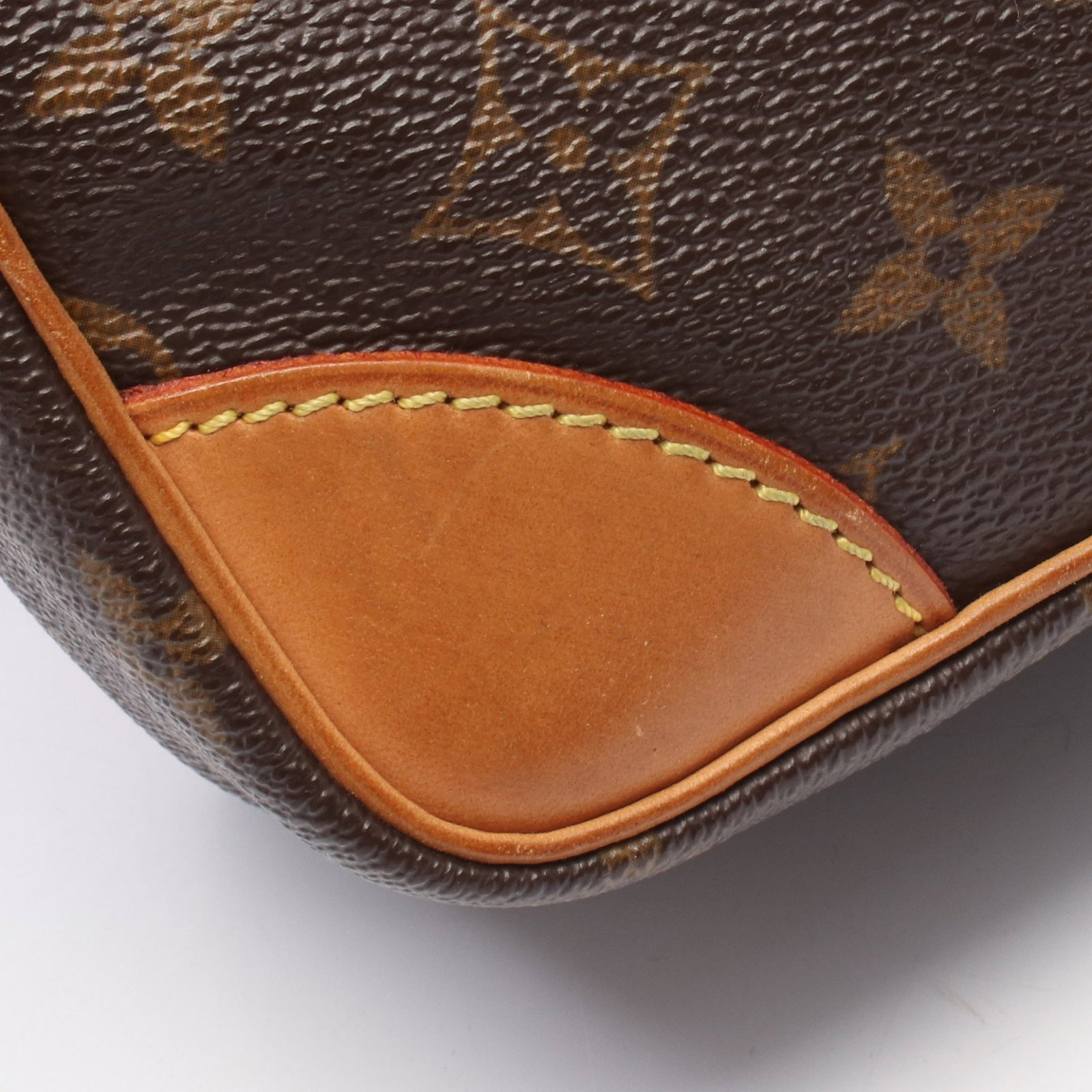 LV Amazon Monogram Shoulder Bag - 7