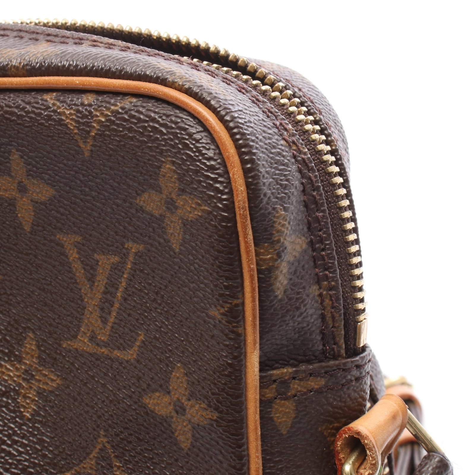 LV Amazon Monogram Shoulder Bag - 9