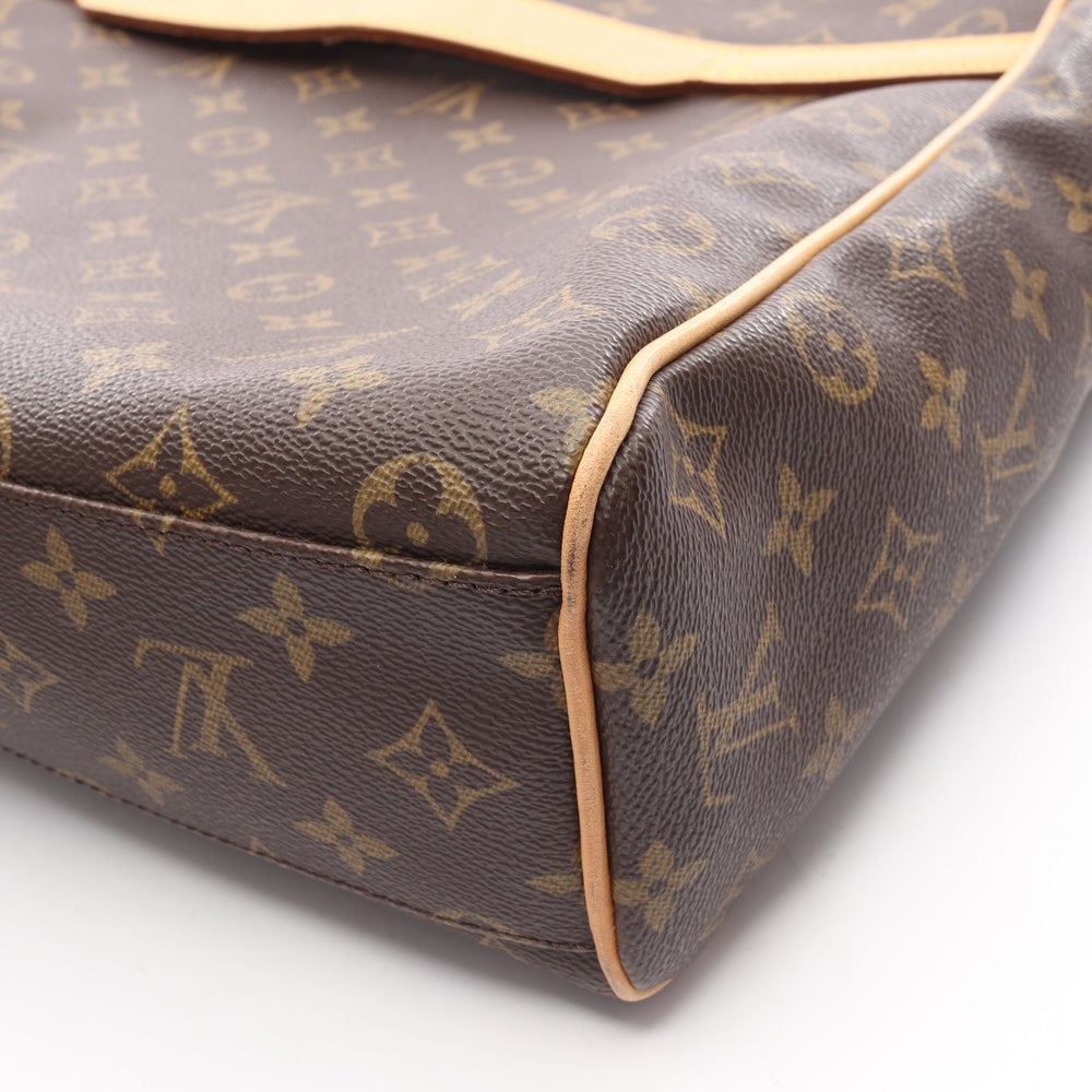 Louis Vuitton Aves Monogram - 12