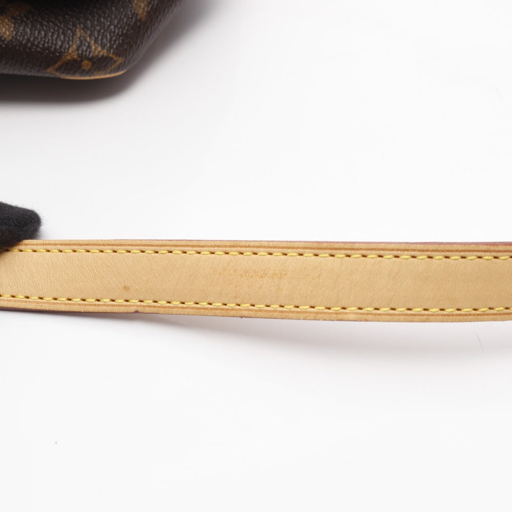 LV Viva Cite PM Monogram Brown - 11
