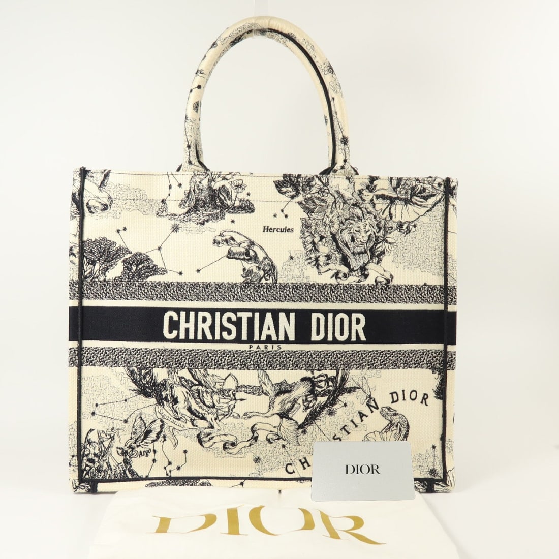 Dior Book Tote Large - 10