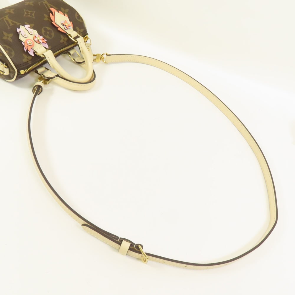 LV Speedy Nano Monogram - 6