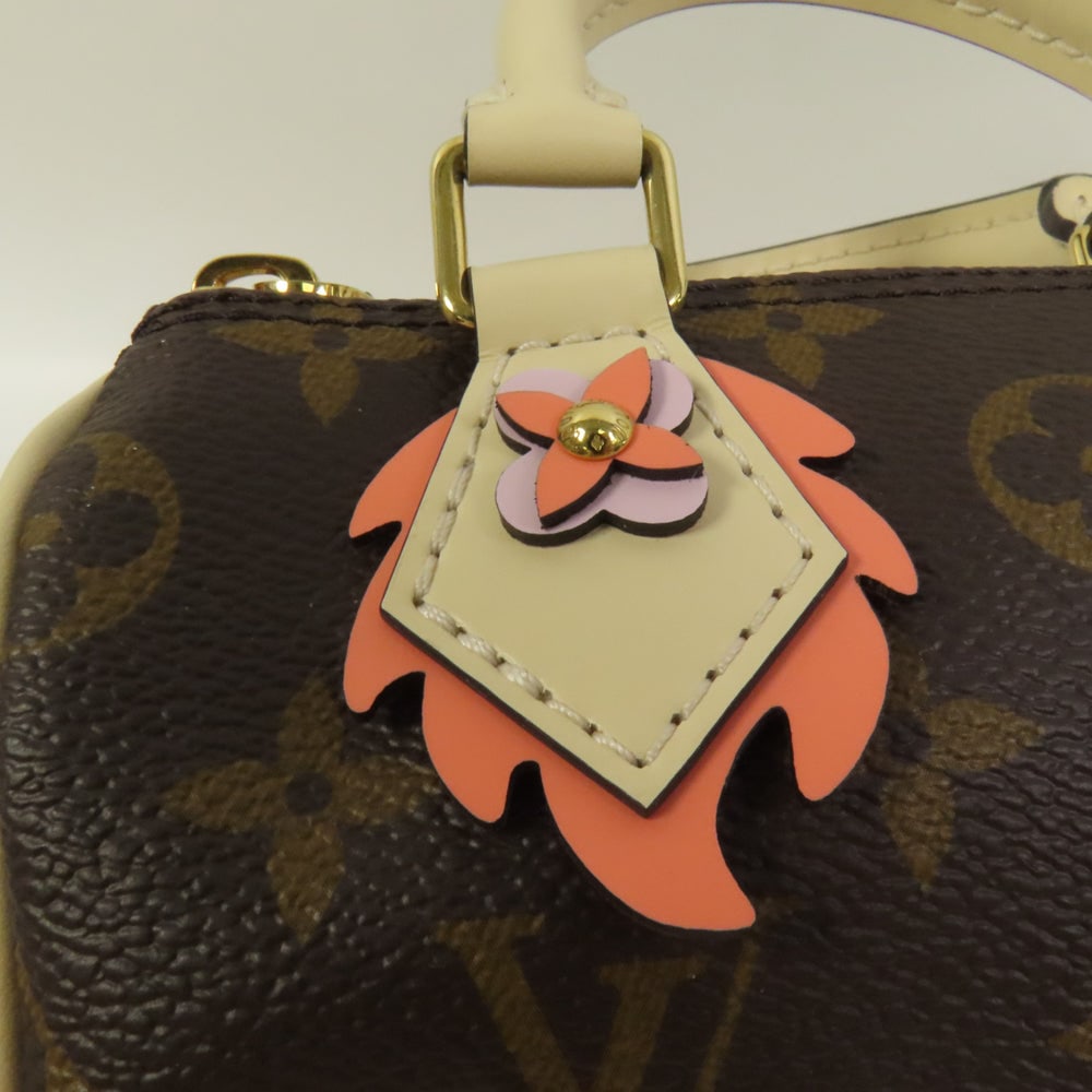 LV Speedy Nano Monogram - 9