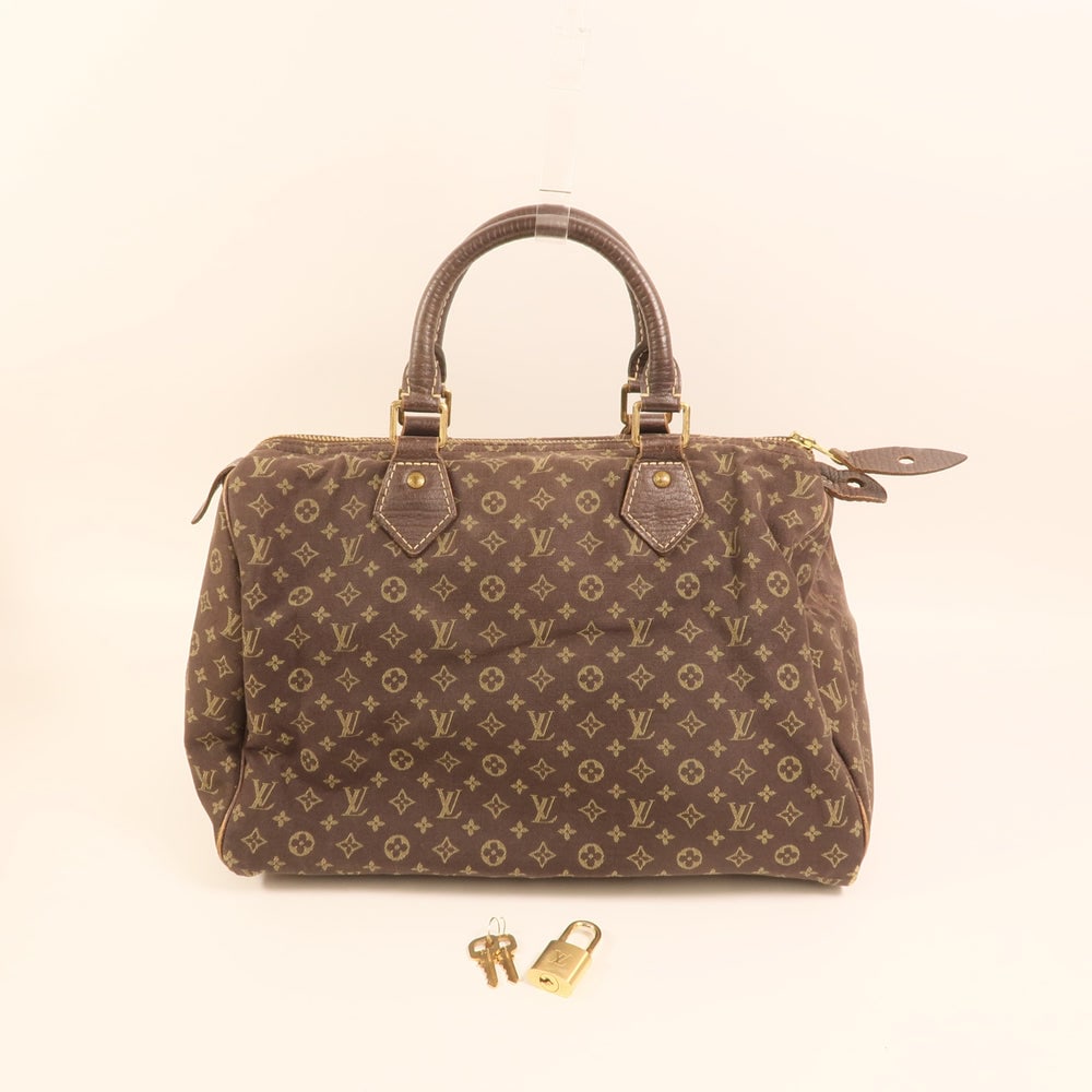 LV Speedy 30 Mini Lin Brown - 10