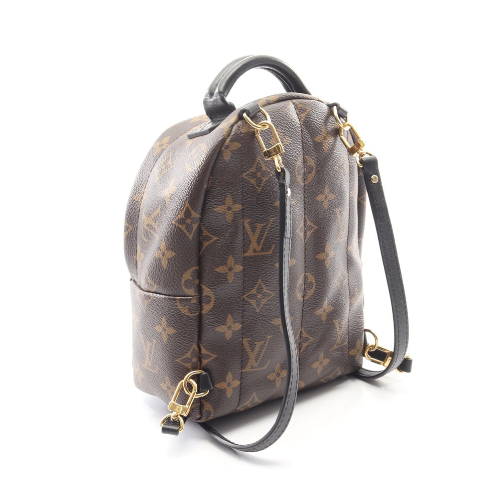 Louis Vuitton Palm Springs Mini: Brown and black monogram backpack.