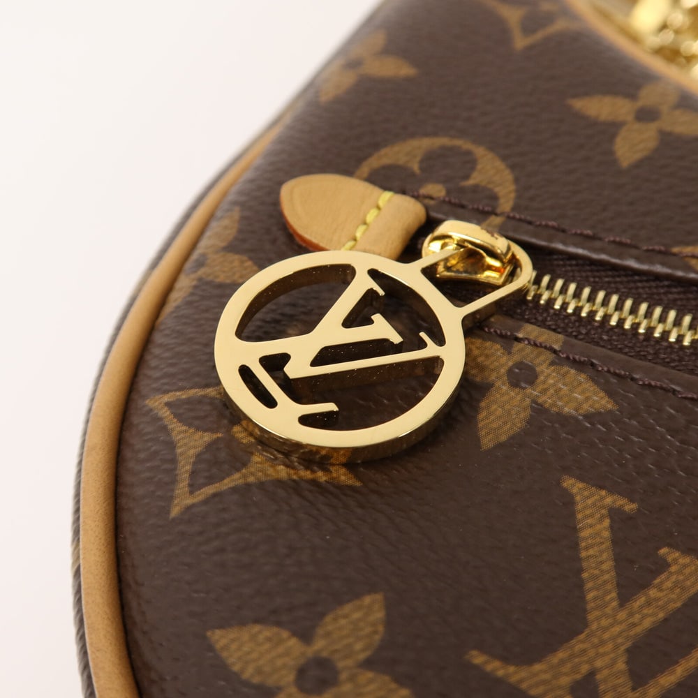 LV Loop Monogram Bag - 13