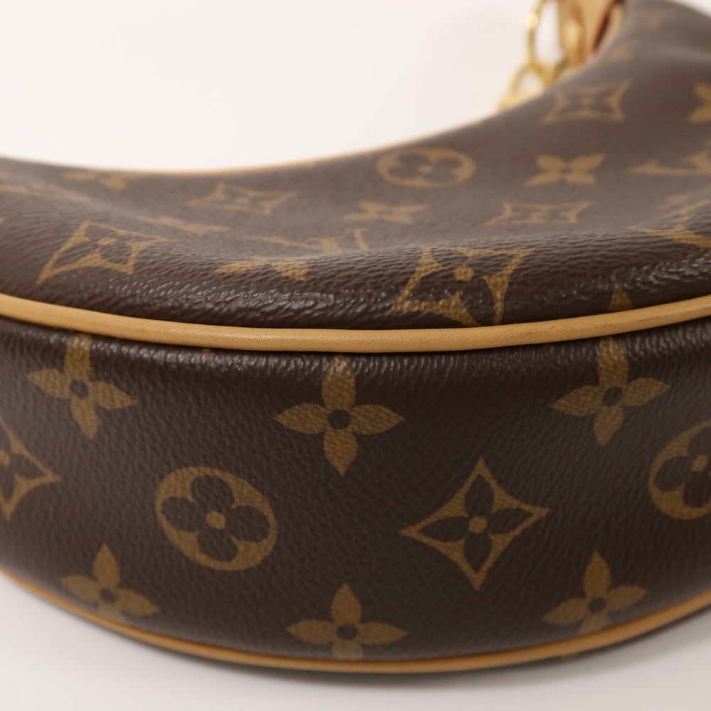 LV Loop Monogram Bag - 9