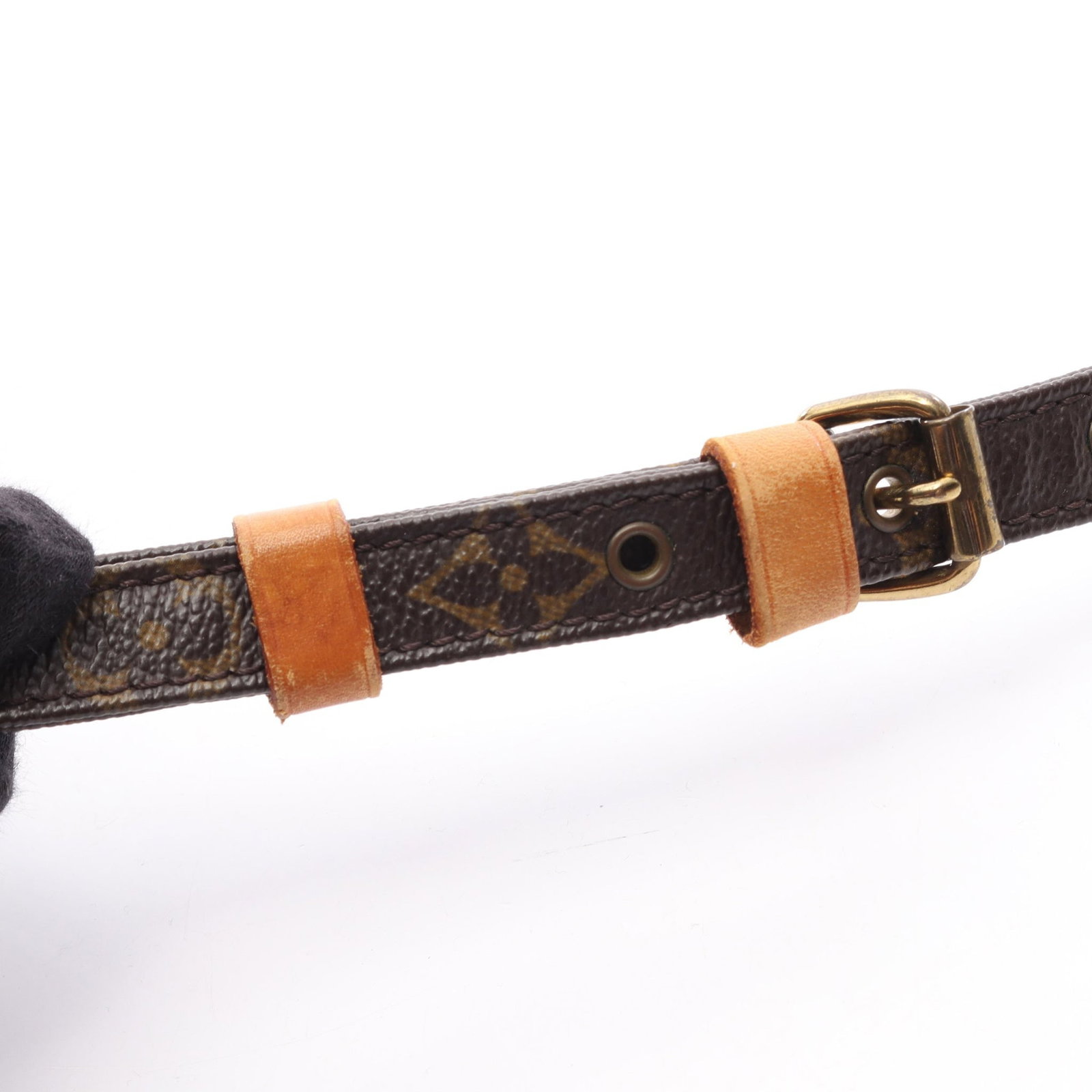 LV Amazon Monogram Shoulder Bag - 19