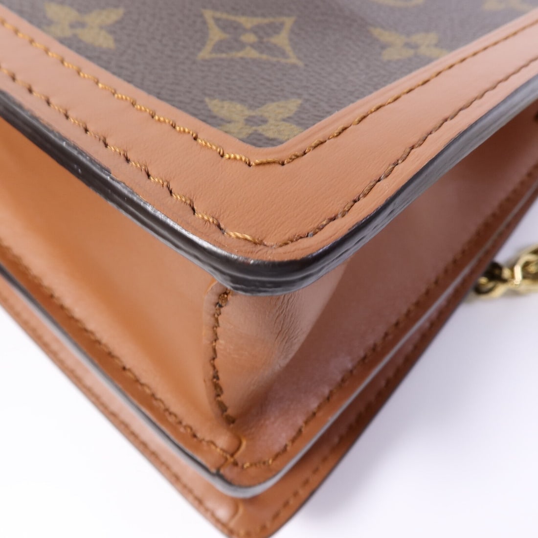 Louis Vuitton Dauphine MM Reverse - 12