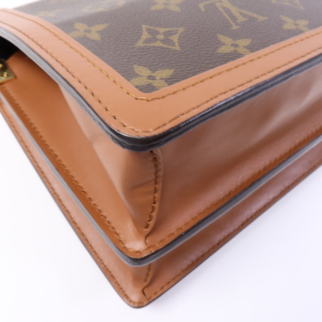 Louis Vuitton Dauphine MM Reverse - 13