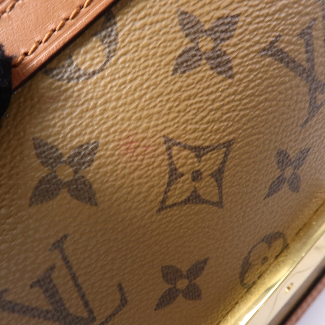 Louis Vuitton Dauphine MM Reverse - 16