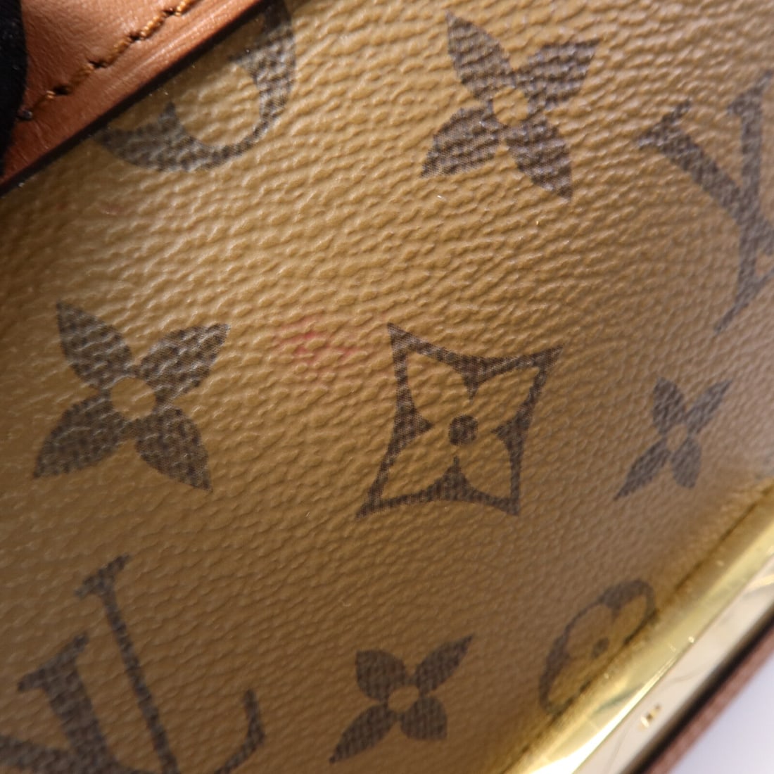 Louis Vuitton Dauphine MM Reverse - 17